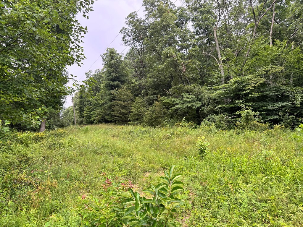 Property Photo:  512 Pleasant Hill Road  OH 45690 