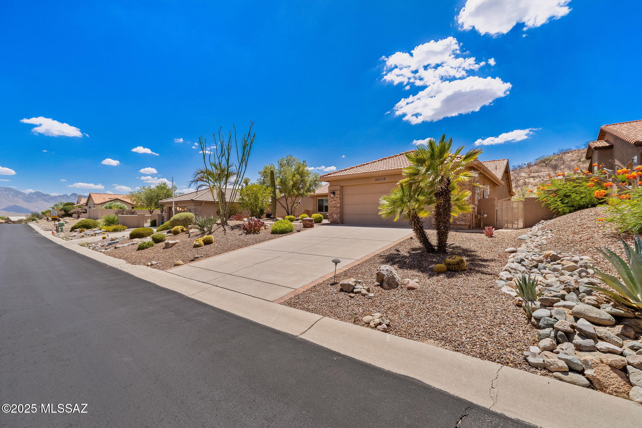 38358 S Desert Bluff Drive  Tucson AZ 85739 photo