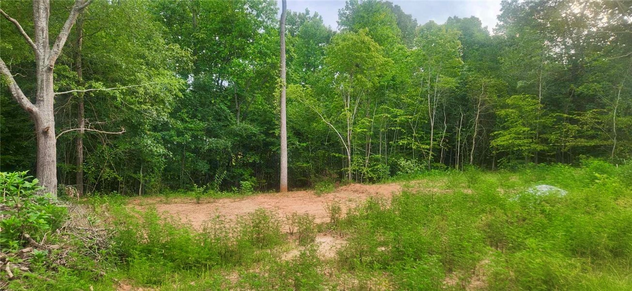 Property Photo: 209 Castlebrook Drive SC 29691