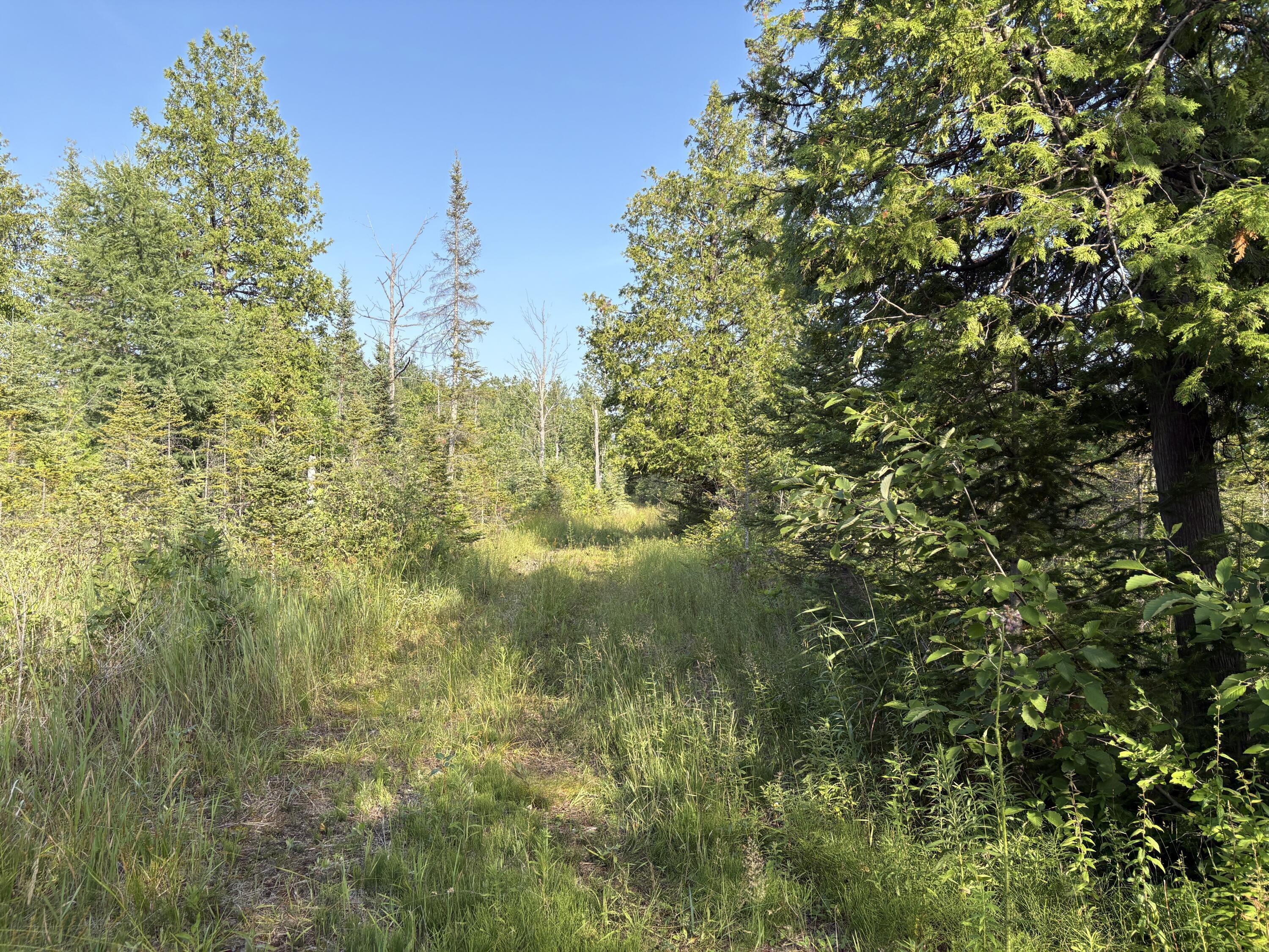 Property Photo: V/L West Airport Highway MI 49779