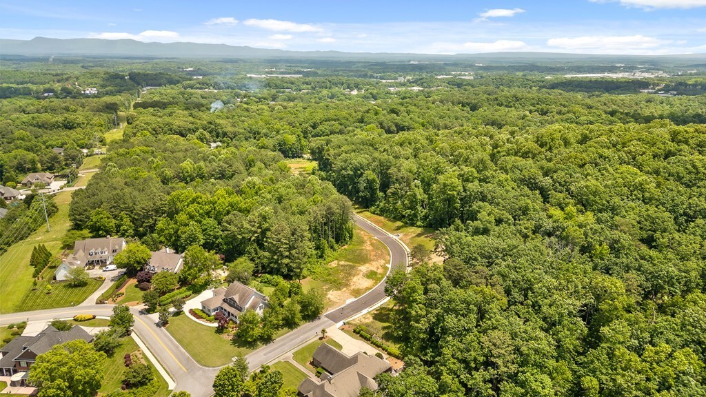 Property Photo: 0 Ridgeview Dr GA 30720