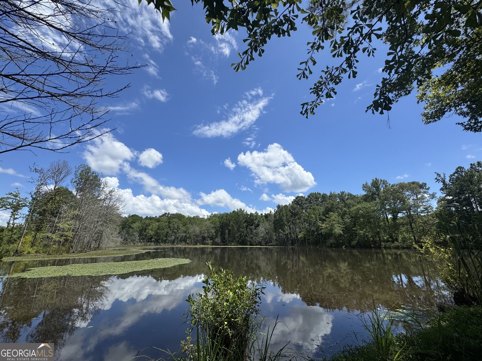 Property Photo:  353 Parham Road  GA 31830 