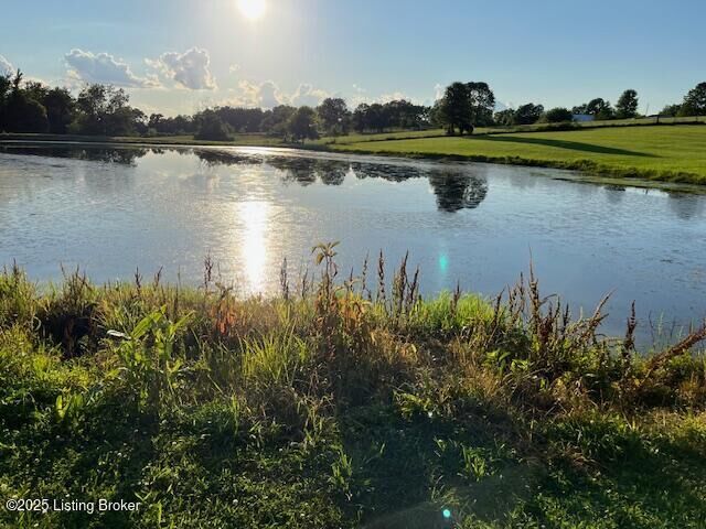Property Photo: 135 Cotton Ln KY 40071