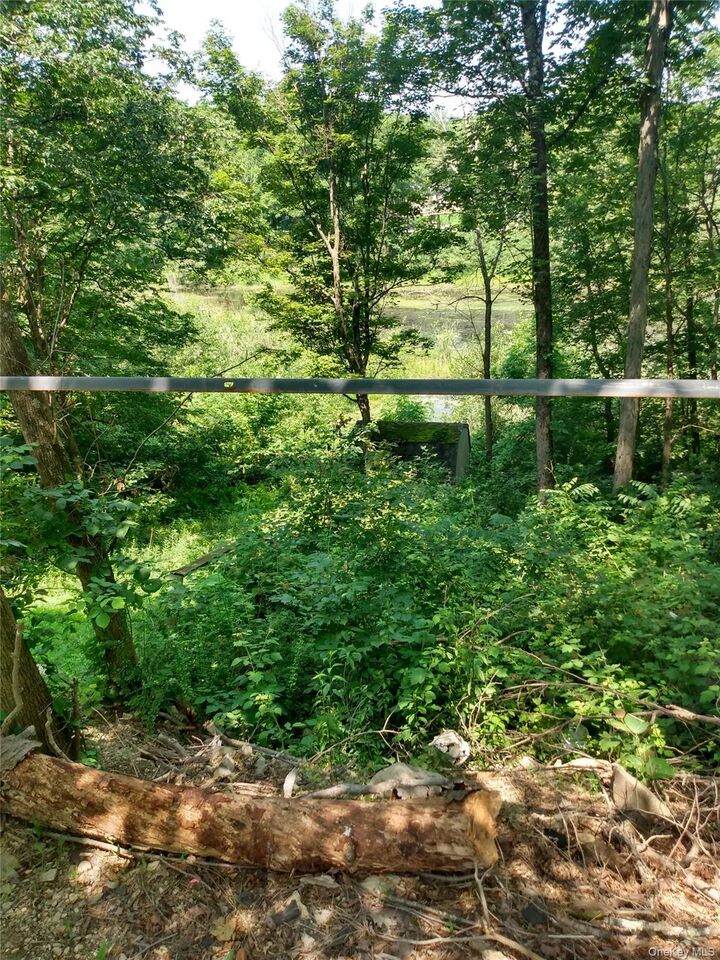 Property Photo: 35 Lake Claire Drive NY 10940