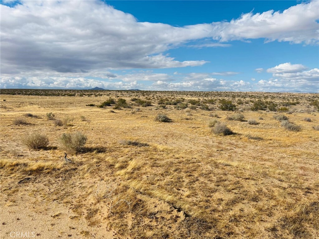 Property Photo:  1 Hwy 395  CA 92347 