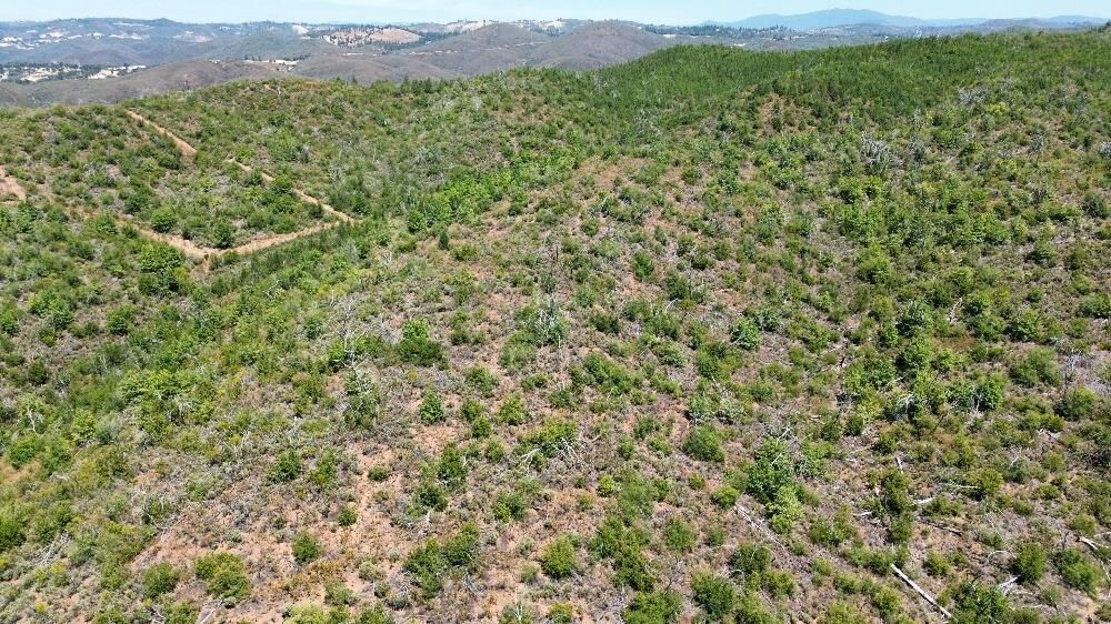 Property Photo:  8519 Maranatha Lane  CA 95246 