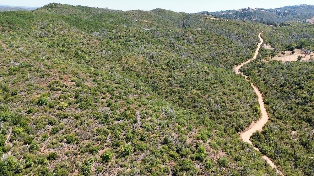Property Photo: 8519 Maranatha Lane CA 95246