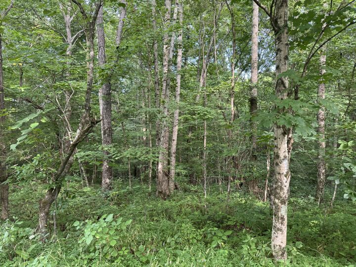 Property Photo:  0 Pryor Lane  TN 37186 