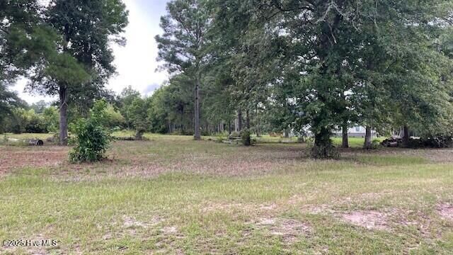Property Photo:  157 Royal Palms Way  NC 28445 