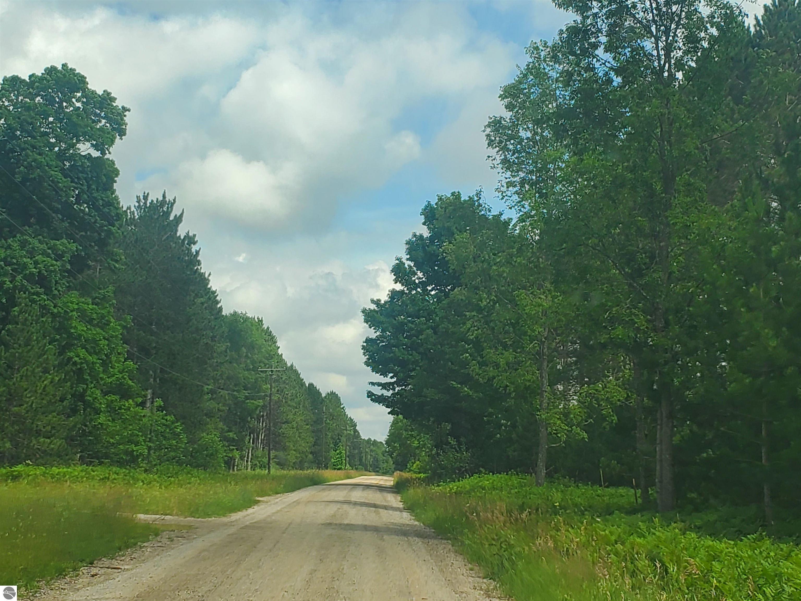 Property Photo:  80 Acres Beall Road  MI 49614 