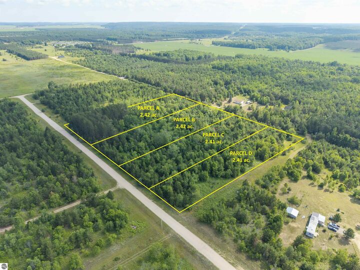 A Tucker Road  Elmira MI 49730 photo