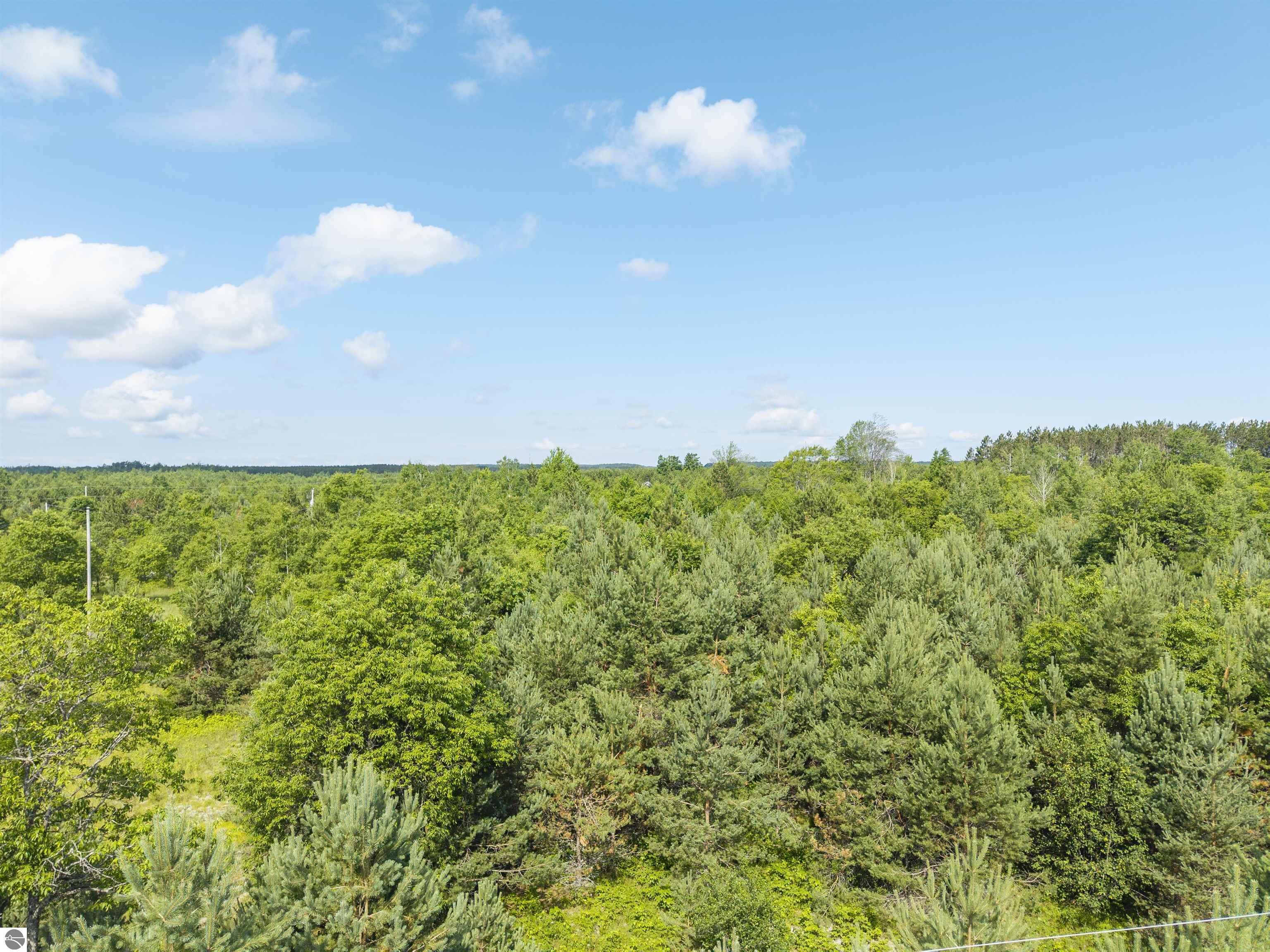 Property Photo:  A Tucker Road  MI 49730 