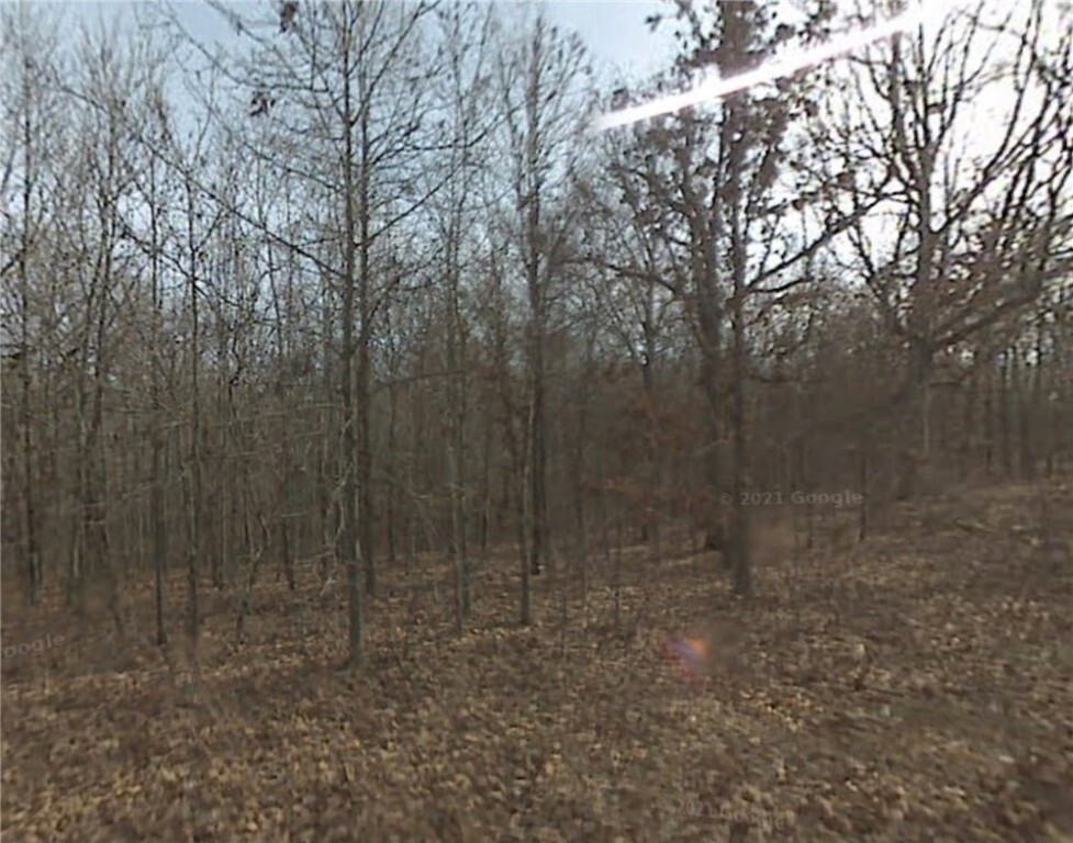 Property Photo: Lot 7 Heswall Lane AR 72714