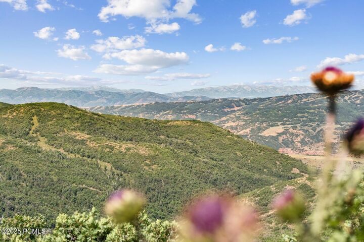 Property Photo: 10976 Skyline Road UT 84024