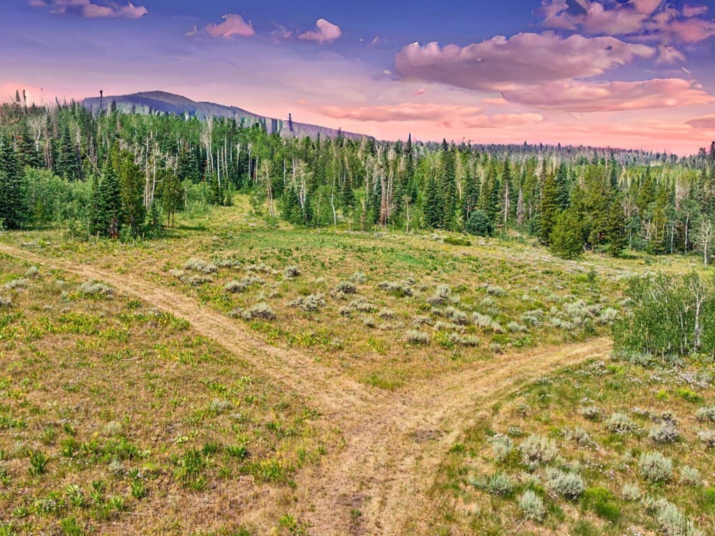 Property Photo: Tbd Spring Creek Ranch Rd CO 80498