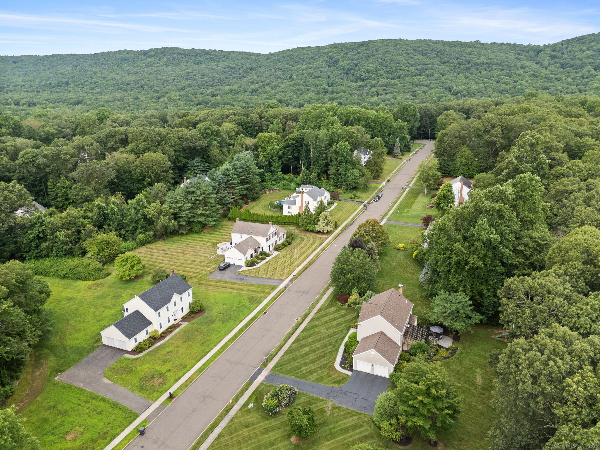 Property Photo: 20 Autumn Court CT 06410