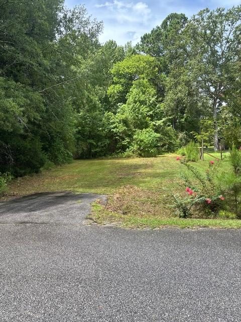 Property Photo: Rutledge Drive SC 29048