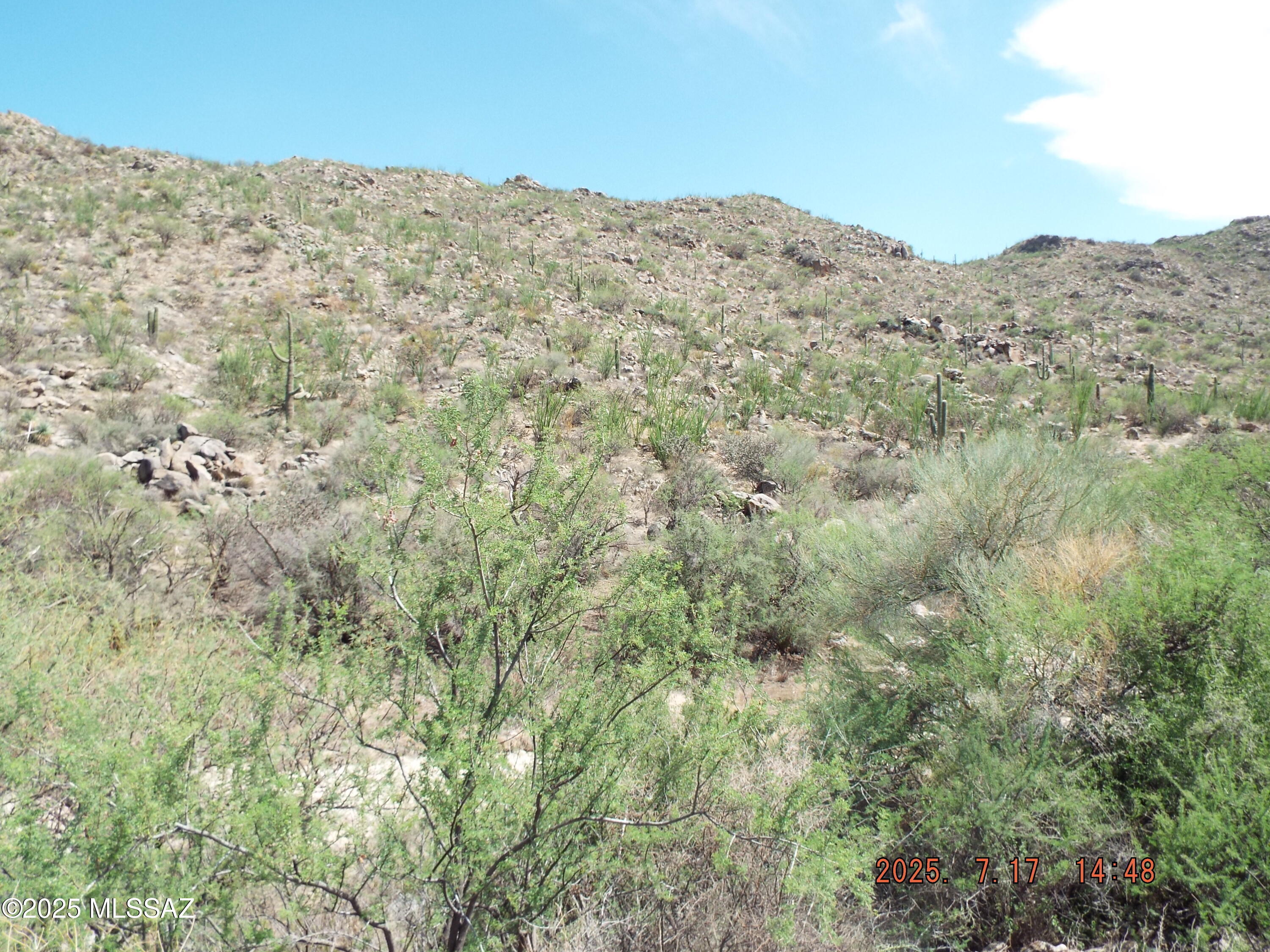 Property Photo: 3750 N Diamond Rock Place 169 AZ 85658