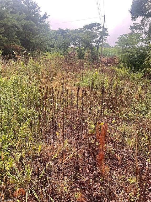 Property Photo: Tbd Windy Ridge Road NC 28659