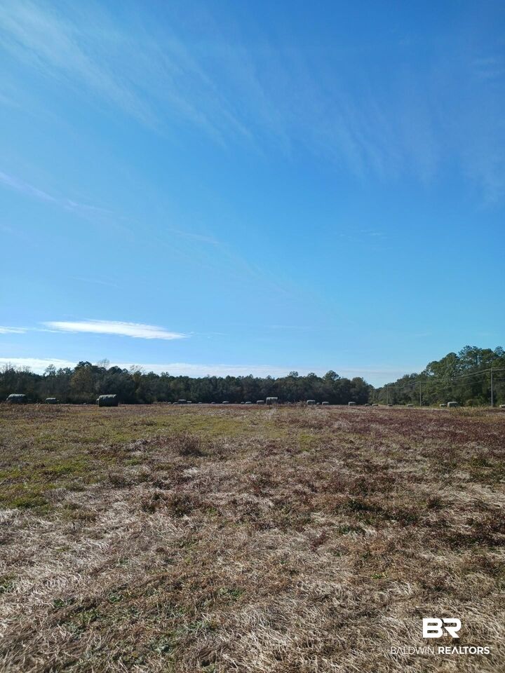 Property Photo:  23486 County Road 36  AL 36580 