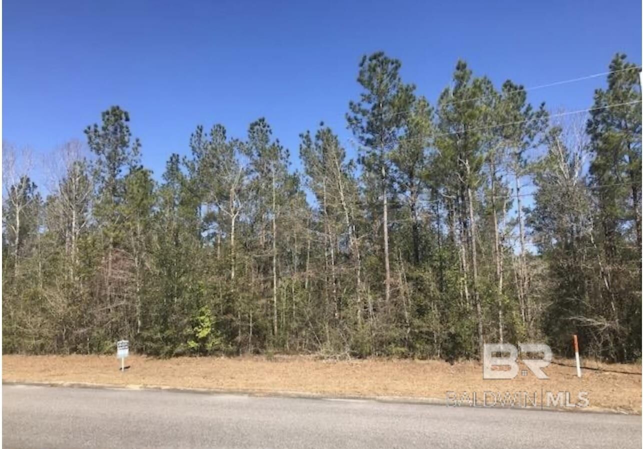 Property Photo:  10 Cayden Circle  AL 36578 