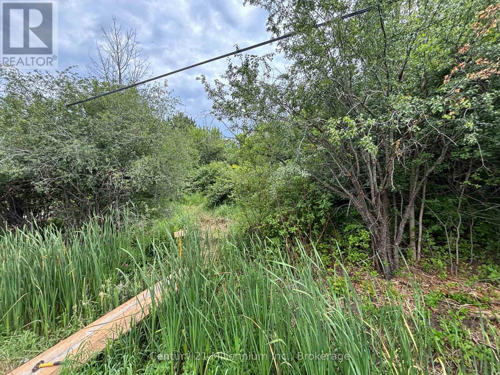 Property Photo:  Pt Lt 10 3rd Line  ON N4L 1W7 