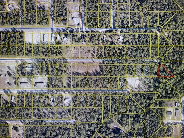 Property Photo: Lot 25 E Honeysuckle Street FL 32433