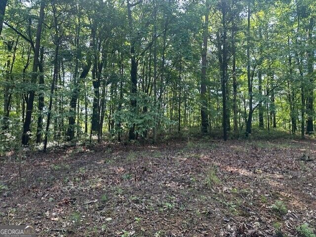 Property Photo:  Tr3 - 3.83 Acre Wendy Hill Road  GA 30175 