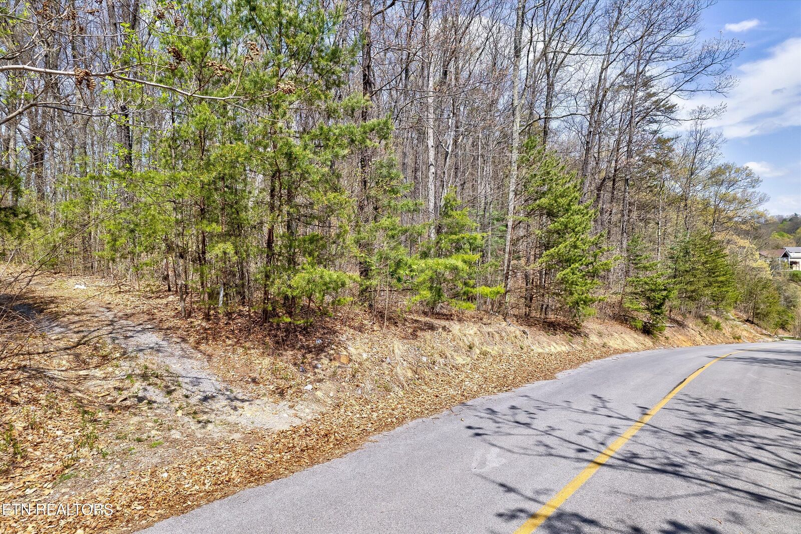 Property Photo:  Lot 125E Settlers View Lane  TN 37862 