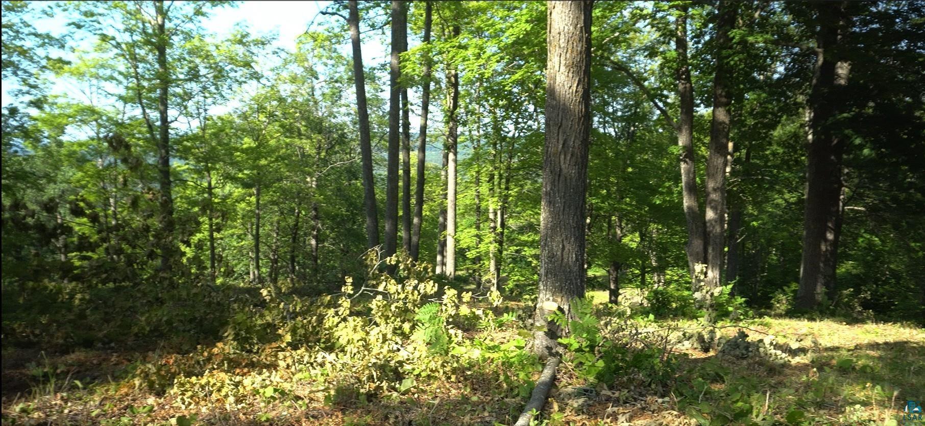 Property Photo: 83xxx Ashwabay Heights Rd Lot 11 WI 54814