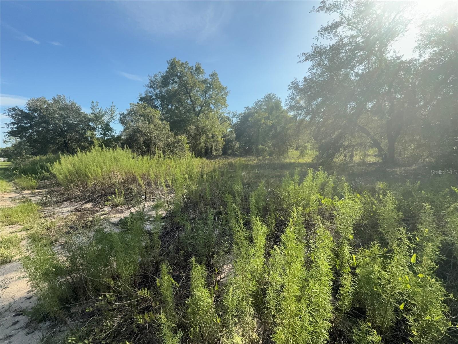 Property Photo:  SW Winding Hills Road  FL 34431 