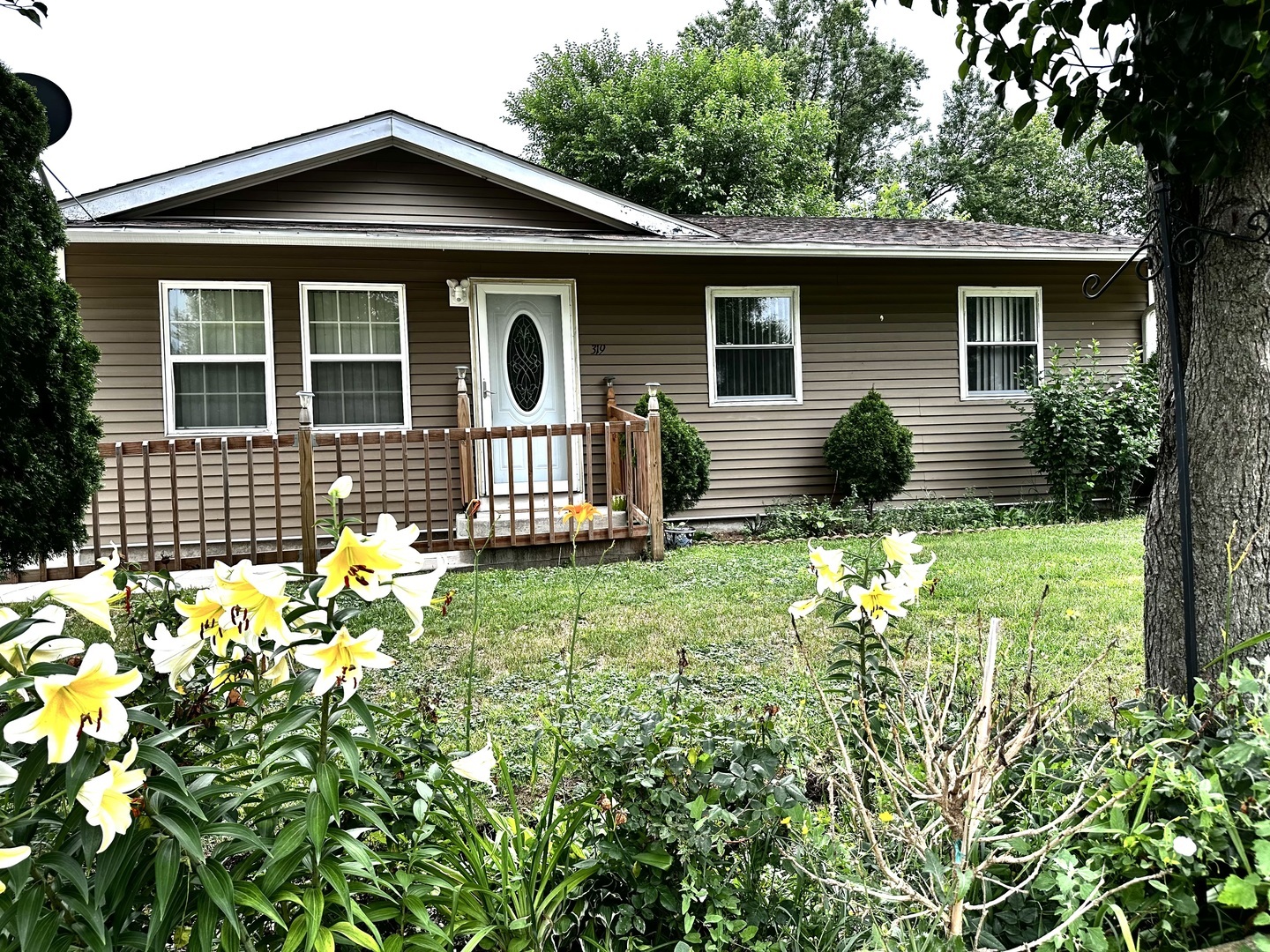 319 Four Winds Way  Carpentersville IL 60110 photo