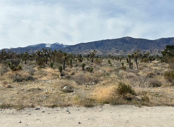 0 Mono Road  Pinon Hills CA 92372 photo