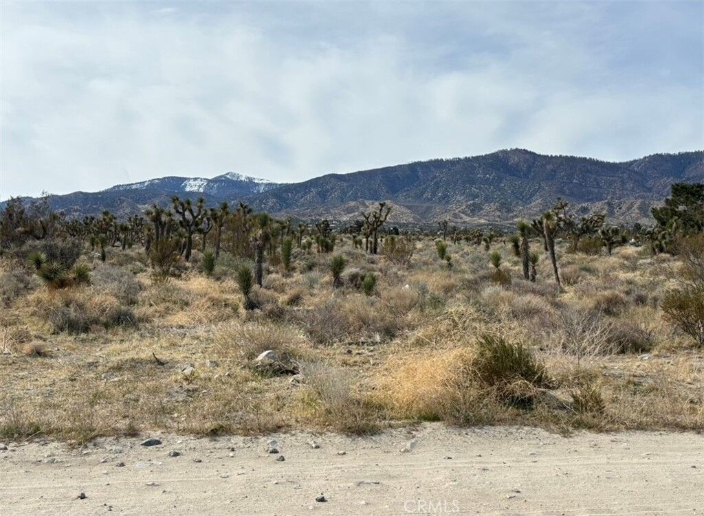 Property Photo: 0 Mono Road CA 92372