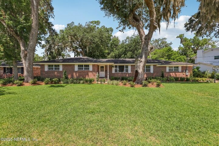 2258 Holly Leaf Lane  Orange Park FL 32073 photo