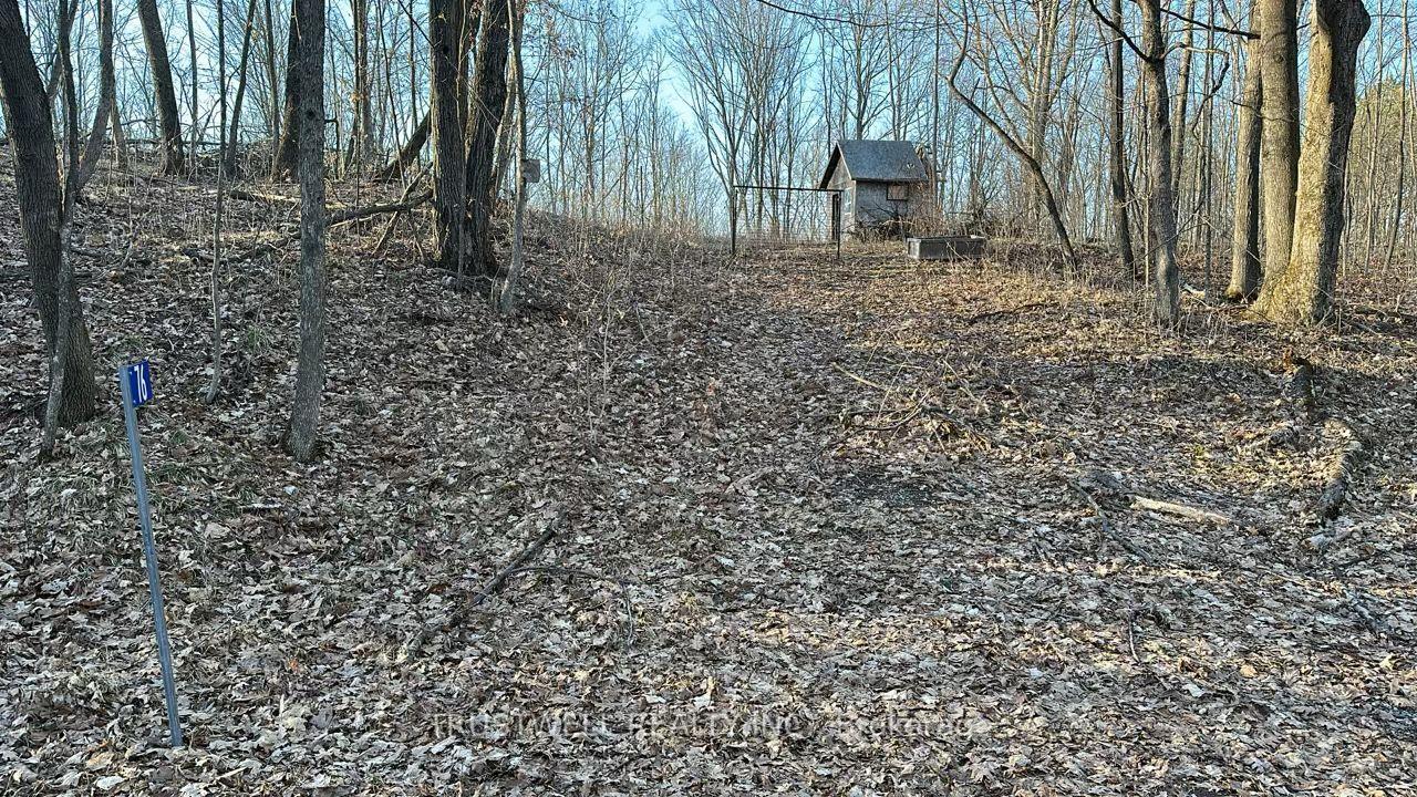 Property Photo:  76 Black River Lane  ON K0K 1Y0 