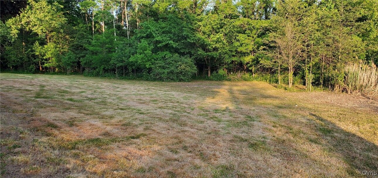 Property Photo: Albany Street NY 13501