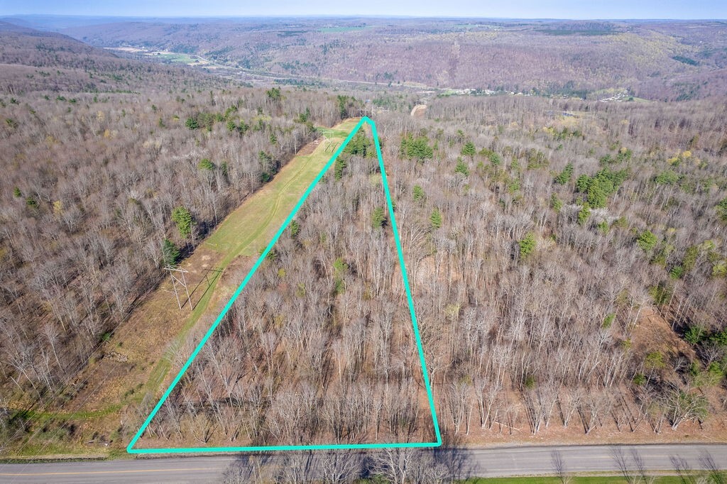 Property Photo: Breed Hollow Road NY 14902