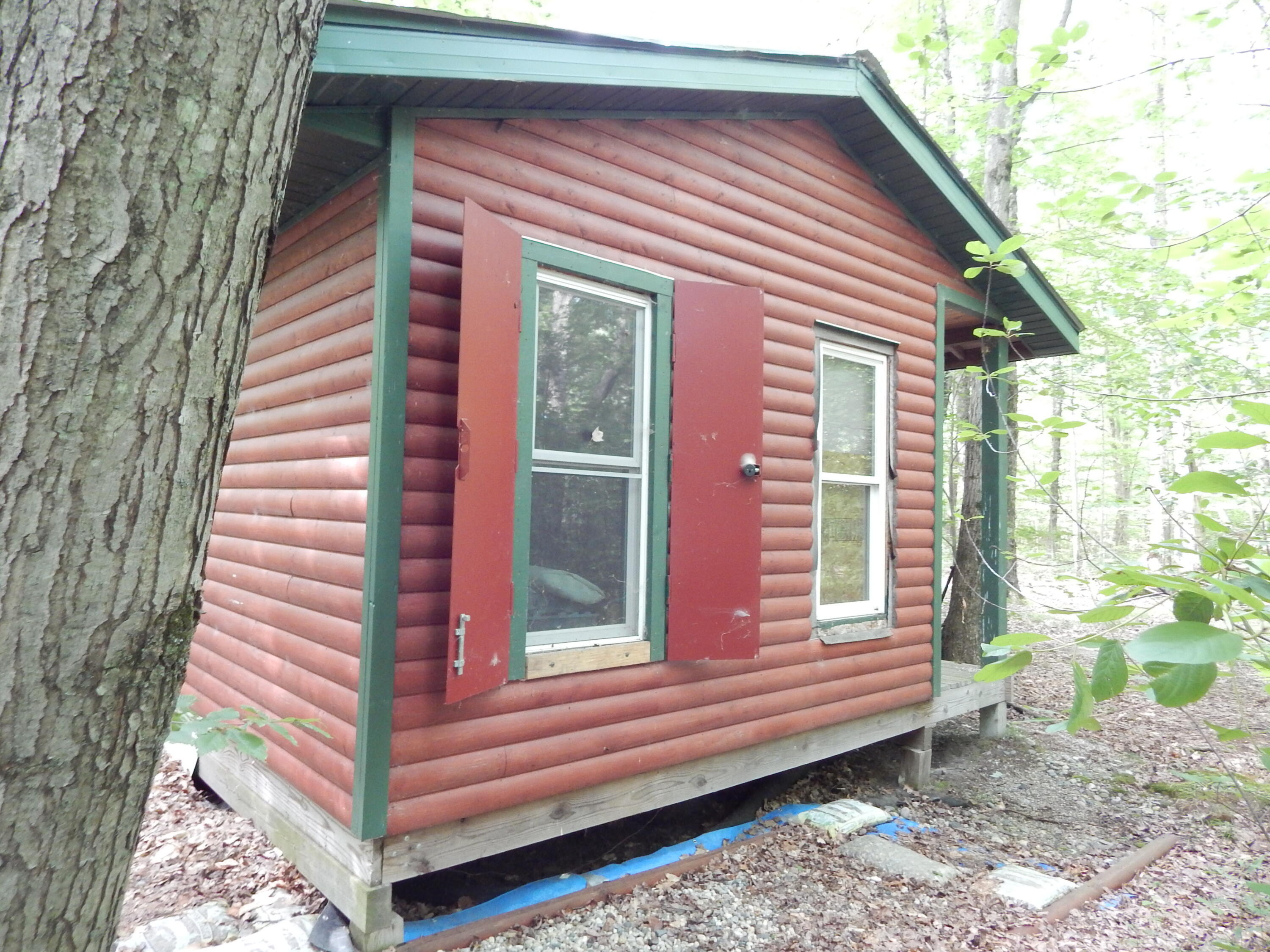 Property Photo:  204 N Catalpa Avenue  MI 49349 
