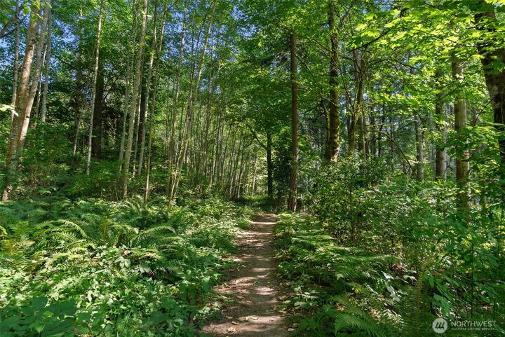 0  Old Creosote Road  Bainbridge Island WA 98110 photo