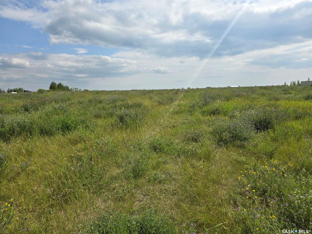 Lot 4 Rural Address  Dundurn Rm No. 314 SK S7K 3J8 photo