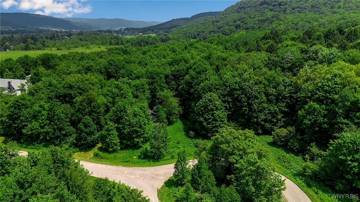 Property Photo:  4456 Courtney Highland Drive  NY 14741 