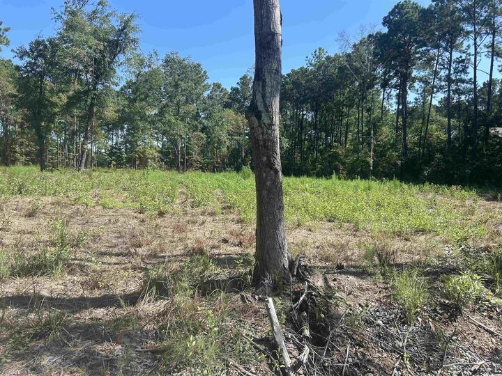 Property Photo:  722 Romain Rd.  SC 29458 