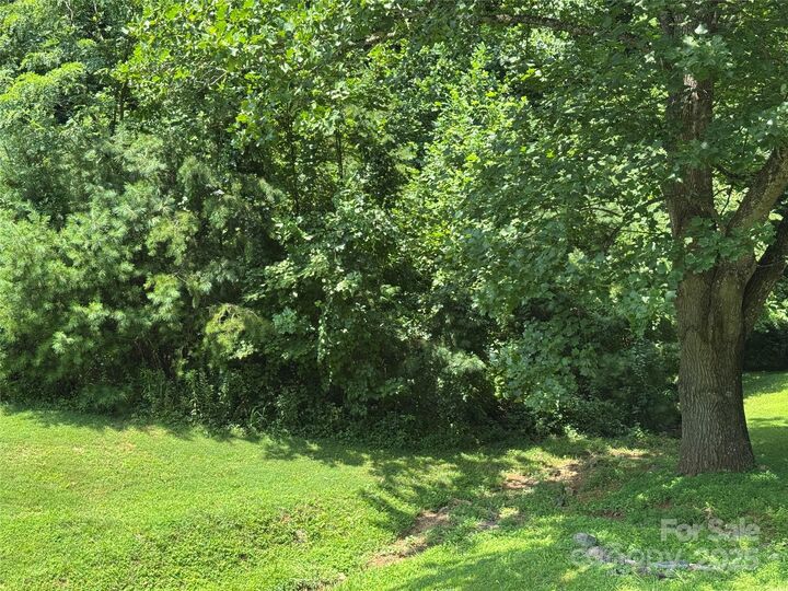 Property Photo: 3 Mountain Magnolia Drive NC 28748