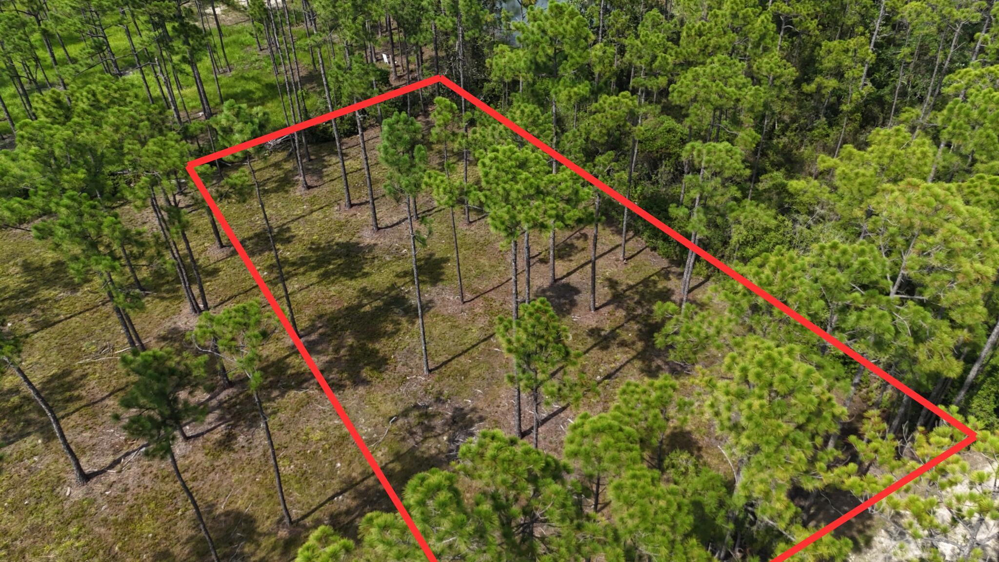 Property Photo:  Lot 4 Foxmire Farm Rd  FL 32459 