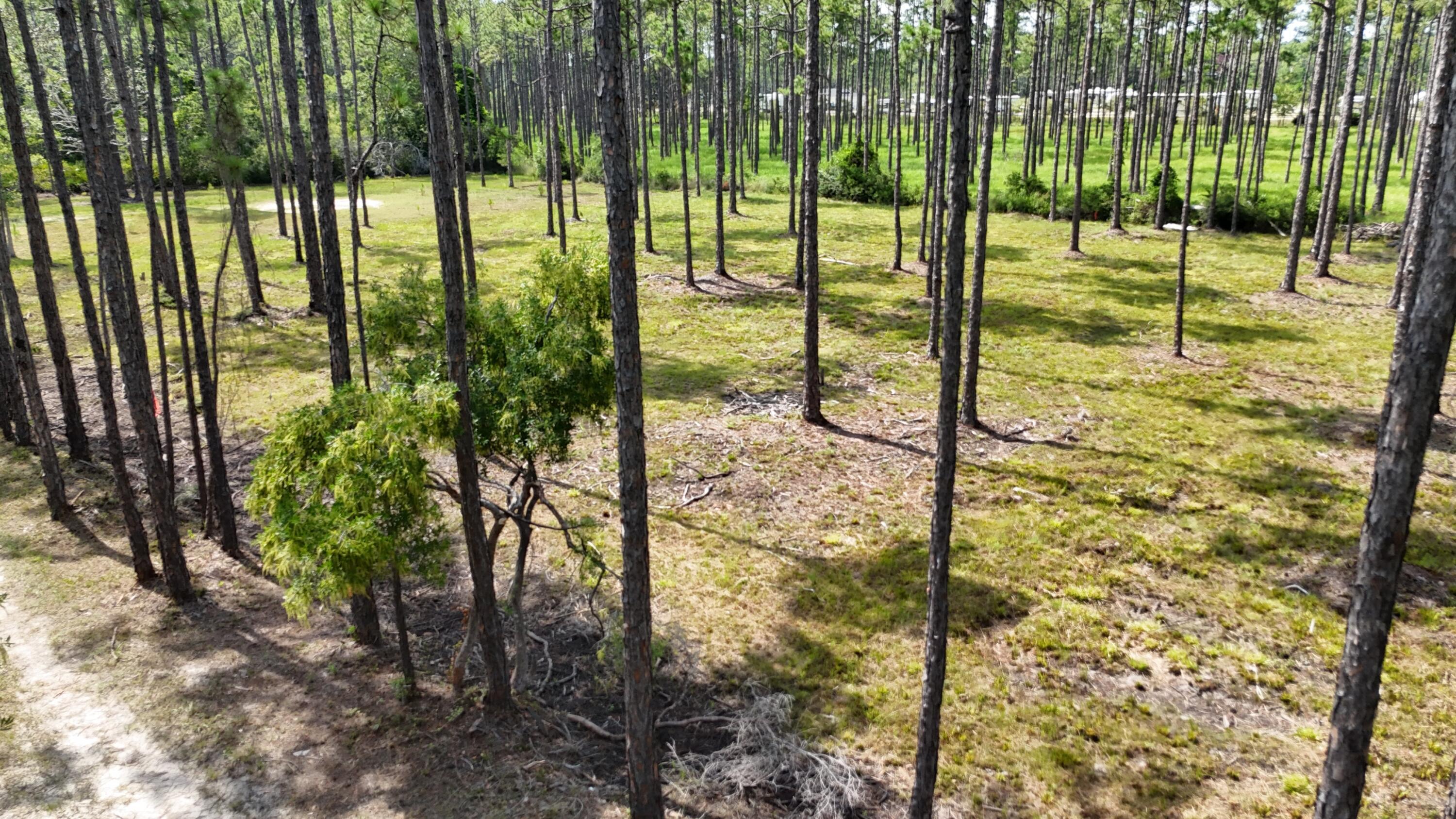 Property Photo:  Lot 5 Foxmire Farm Road  FL 32459 