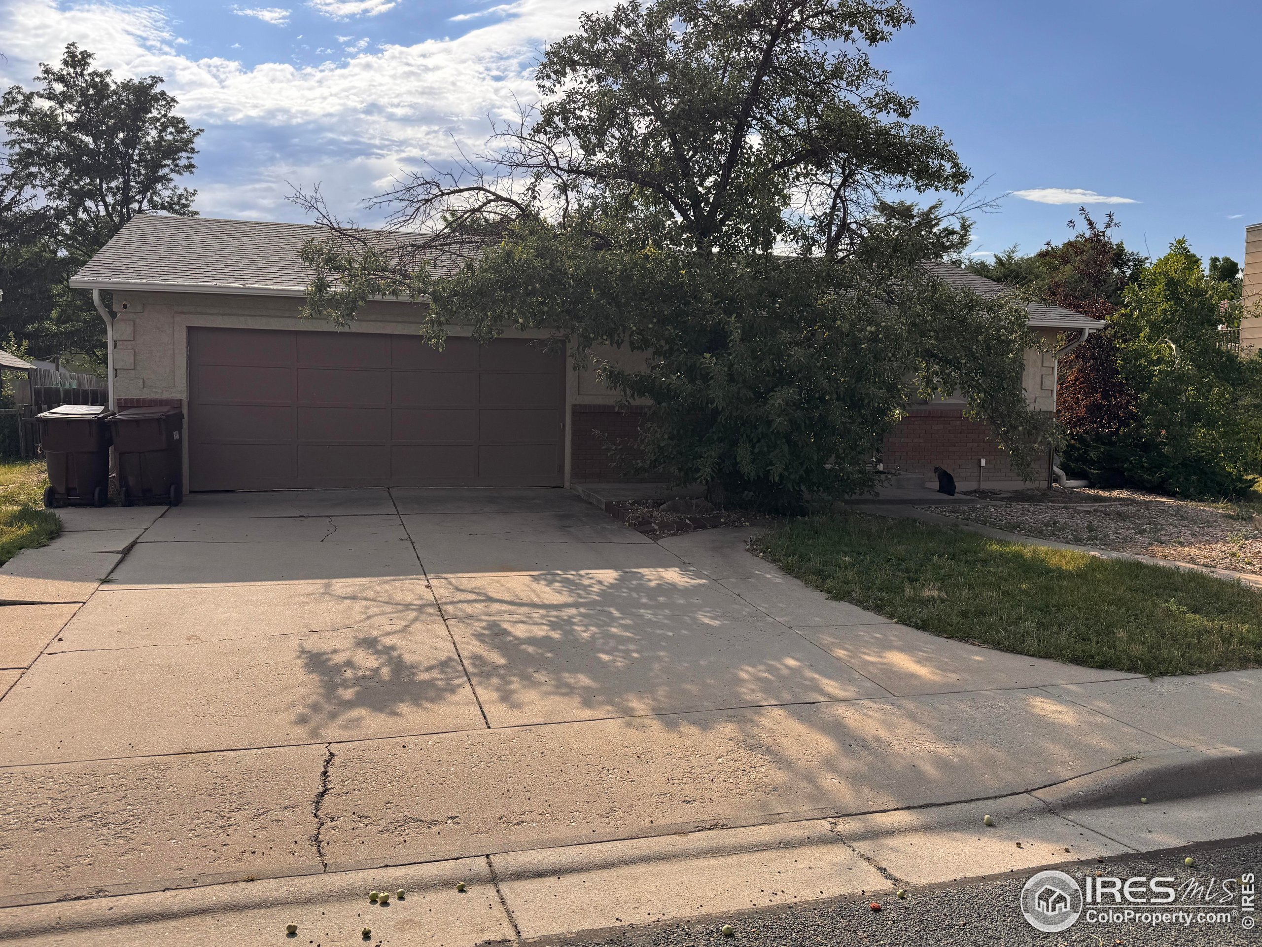 Property Photo: 5601 Meyers Dr CO 80538