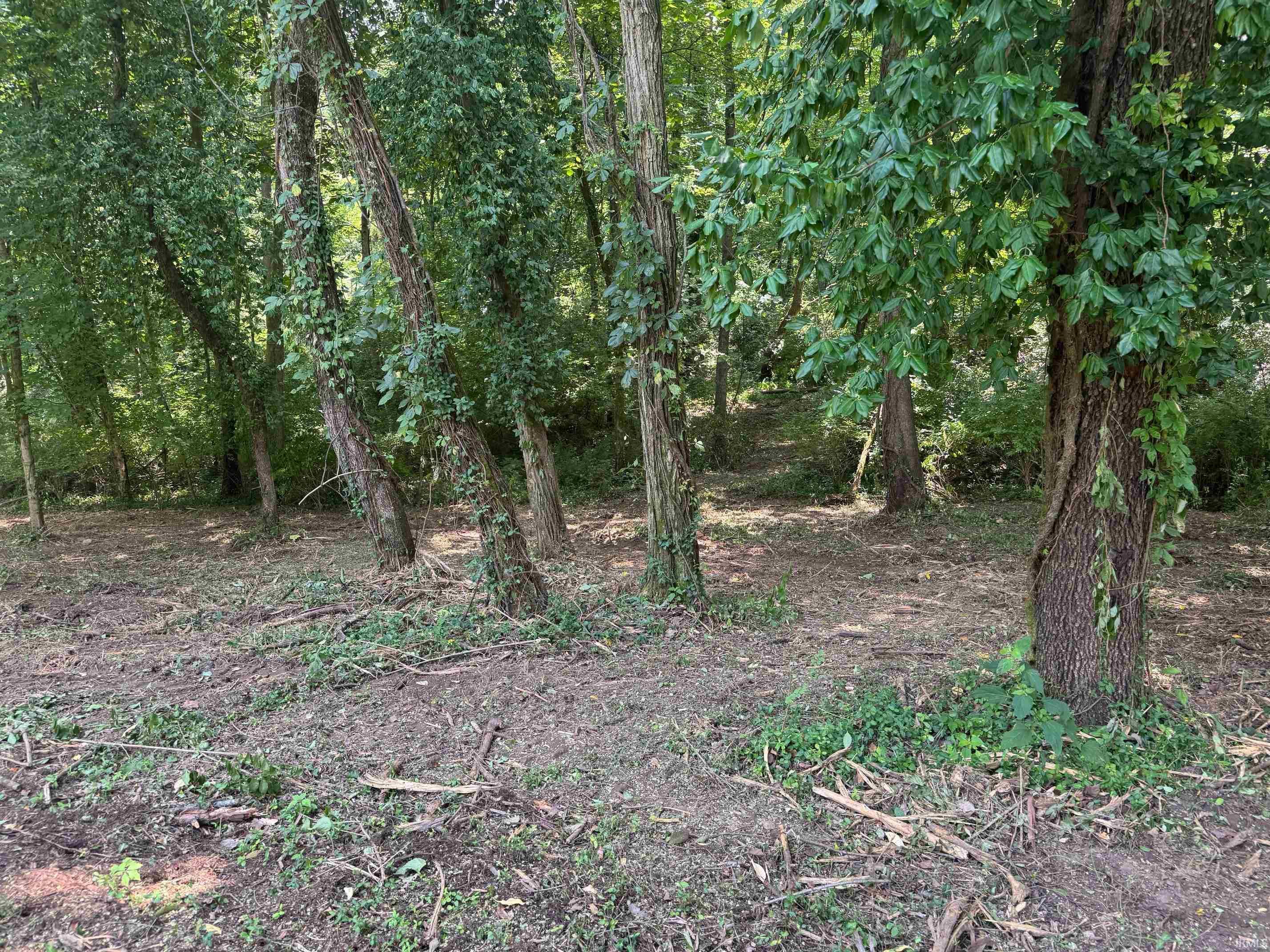 Property Photo:  1633 Shannon Lane 9  IN 47725 