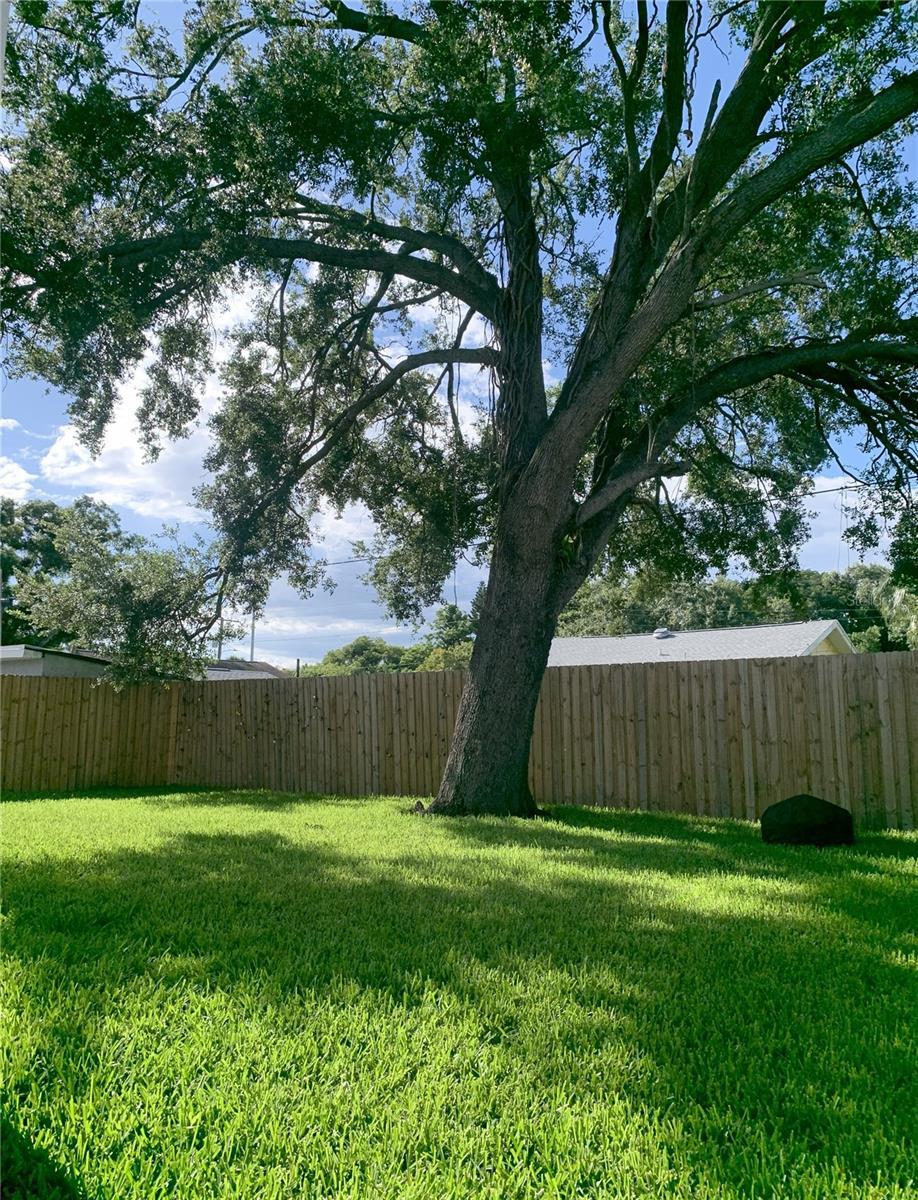 Property Photo:  2222 E Clark Street  FL 33605 