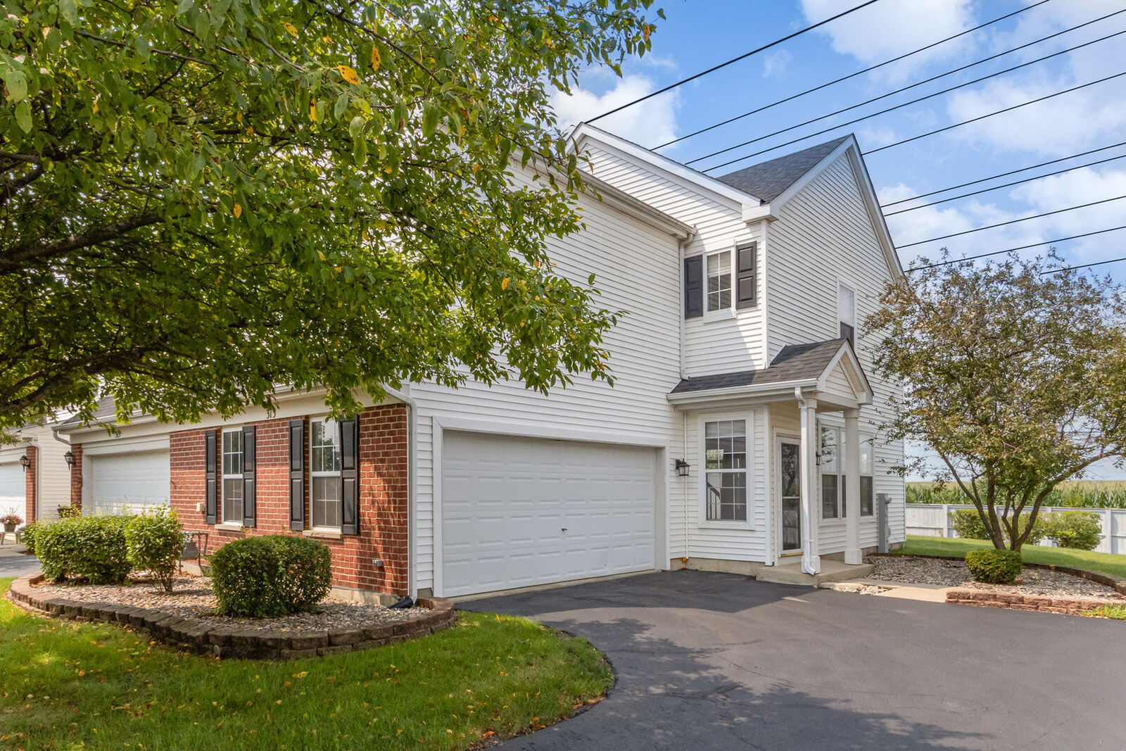 Property Photo: 313 Parkside Drive IL 60404